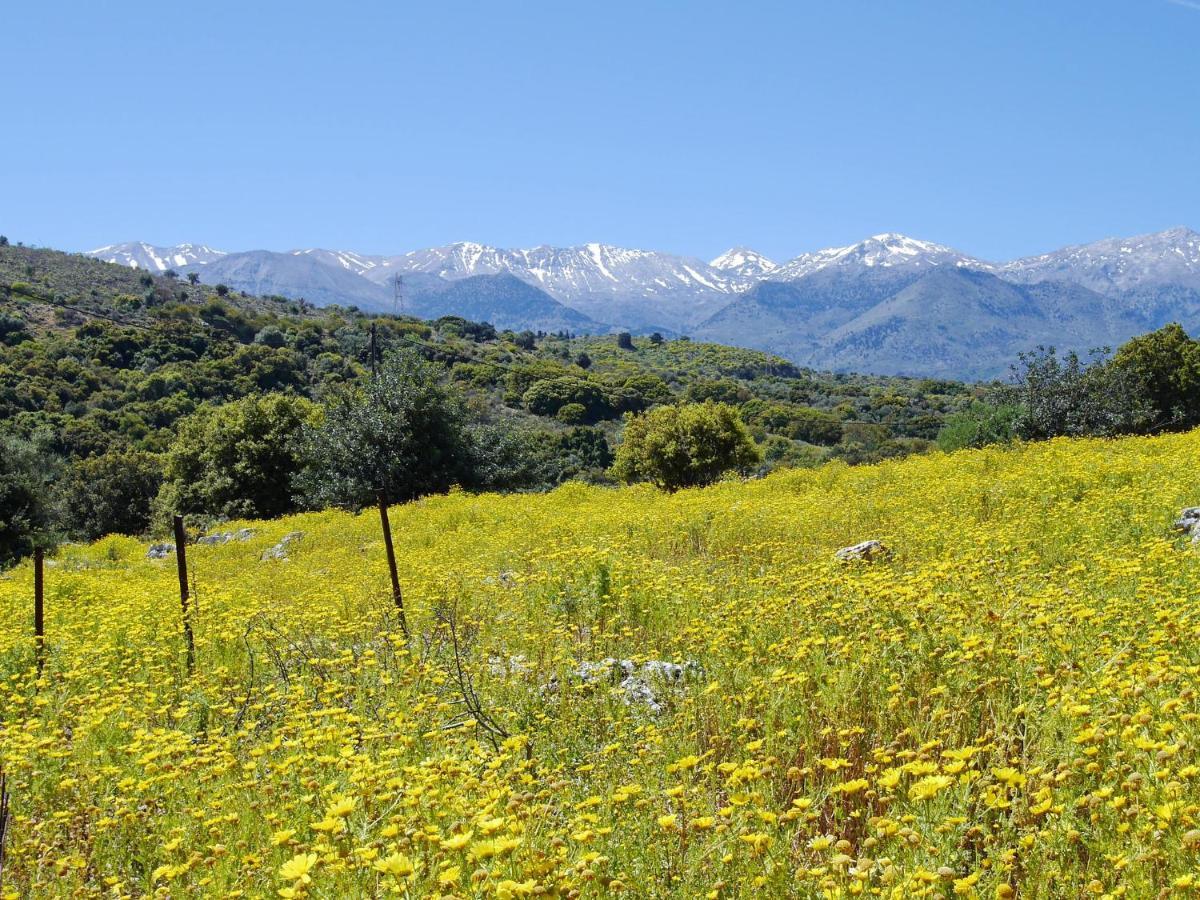 Villa Amvrosia Nr Kalives Crete Arménoi Exterior foto